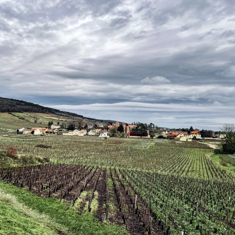 Image carré 1 csj-min